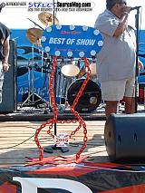 dryoff Show Images Page 9